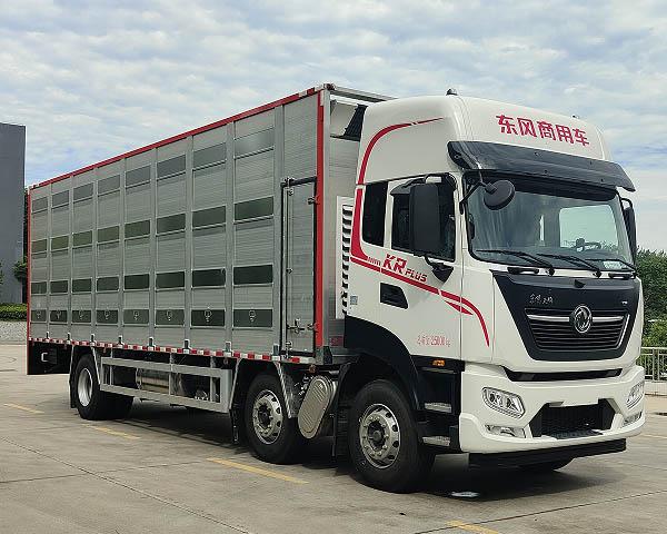CL5250CCQ6ASS公告主图